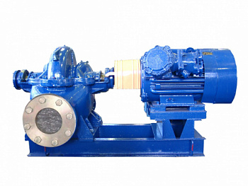 Насос 12НДс-Нм-...-б-Ех (960 об/мин)