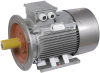 Электродвигатель АИР200M2 (iEK) 2081 - комбинированный (лапы, фланец)