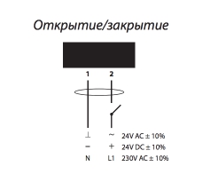 о_с.jpg