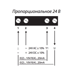 4_24_V.jpg
