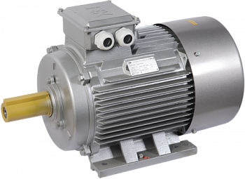 Электродвигатель АИР200M2 (iEK)