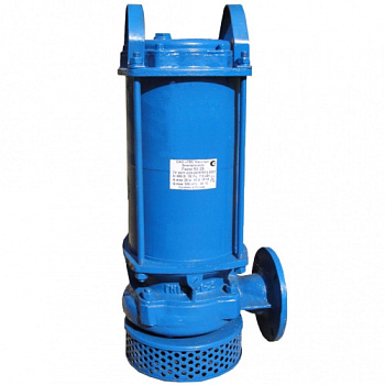 Насос 1Гном 10-10, 220В