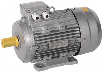 Электродвигатель АИC100L2 (iEK)