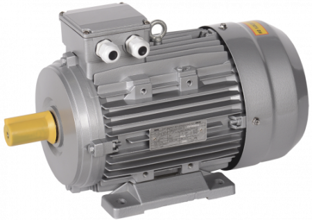Электродвигатель АИC100LВ8 (iEK)