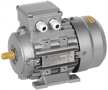 Электродвигатель АИC63А2 (iEK)